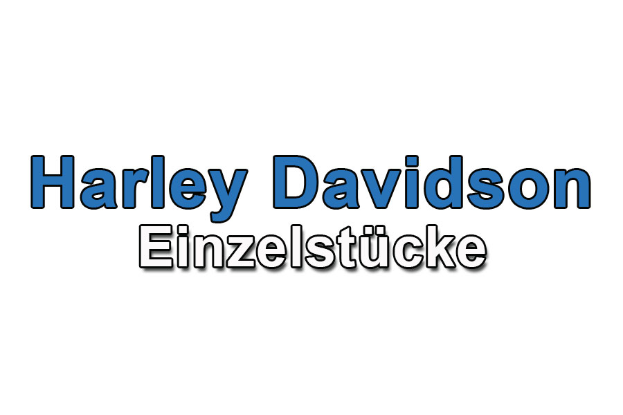 Einzelstücke Harley Davidson